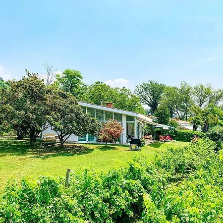 Delle Vigne Vila *